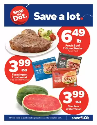 Save a Lot Weekly Ad (valid until 17-06)