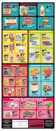 Save a Lot Weekly Ad week 24 Page 2