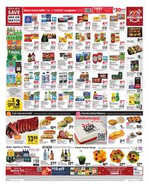 Safeway Weekly Ad week 24 Page 3