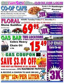 Co-op Atlantic flyer week 24 Page 3