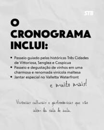 Catálogo STB Página 4