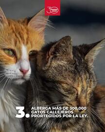 Catálogo Mundo Joven Página 4
