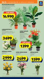 ALDI akciós újság hét 24 Oldal 29
