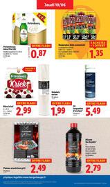 Catalogue Lidl semaine 25 page 25
