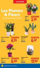 Catalogue Lidl semaine 25 page 28