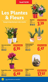 Catalogue Lidl semaine 25 page 28