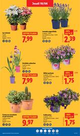 Catalogue Lidl semaine 25 page 29