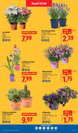 Catalogue Lidl semaine 25 page 29