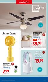 Catalogue Lidl semaine 25 page 31
