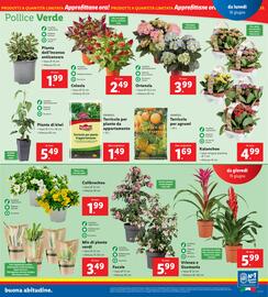 Volantino Lidl settimana 25 Pagina 27