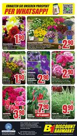 B1 Discount Baumarkt Prospekt woche 24 Seite 8