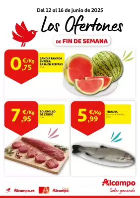 Folleto Alcampo (válido hasta el 16-06)