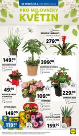 Lidl leták Strana 30