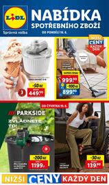 Lidl leták týden 25 Strana 1