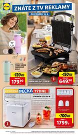 Lidl leták týden 25 Strana 2