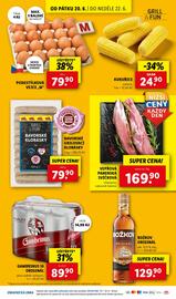 Lidl leták Strana 41