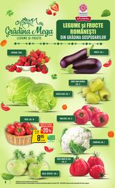 Catalog Mega Image săptămâna 24 Pagină 8
