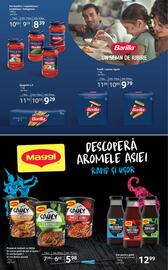 Catalog Selgros Pagină 16