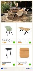 Obelink folder Pagina 8