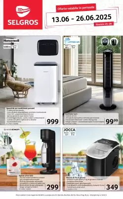 Catalog Selgros (valid până la 26-06)