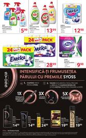 Catalog Selgros Pagină 17