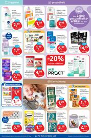 Budni Prospekt woche 26 Seite 5