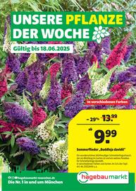 Hagebau Prospekt woche 24 Seite 1