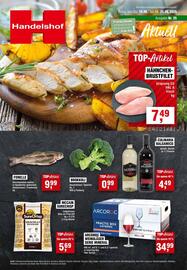 Handelshof Prospekt woche 25 Seite 1