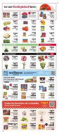 ShopRite Weekly Ad week 24 Page 3