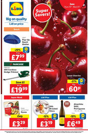 Lidl leaflet week 25 Page 1