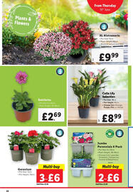Lidl leaflet week 25 Page 22