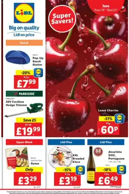 Lidl leaflet (valid until 25-06)
