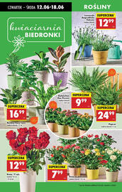 Biedronka gazetka tydzień 24 Strona 64
