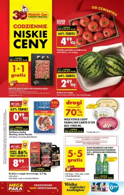 Biedronka gazetka