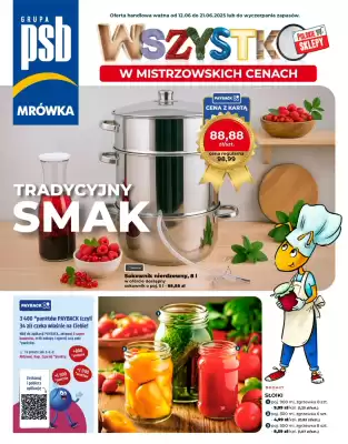 Mrówka gazetka (ważność do 21-06)
