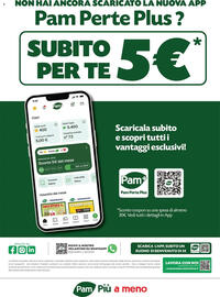 Volantino Pam Pagina 10
