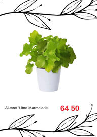 Blomsterlandet reklamblad Sida 2