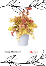 Blomsterlandet reklamblad Sida 3