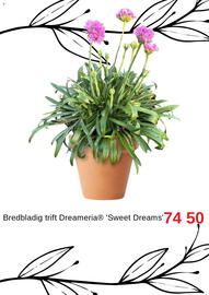 Blomsterlandet reklamblad Sida 4