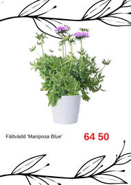 Blomsterlandet reklamblad Sida 5