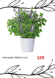 Blomsterlandet reklamblad Sida 6