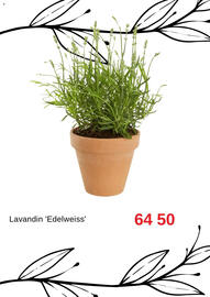 Blomsterlandet reklamblad Sida 7