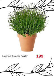 Blomsterlandet reklamblad Sida 8