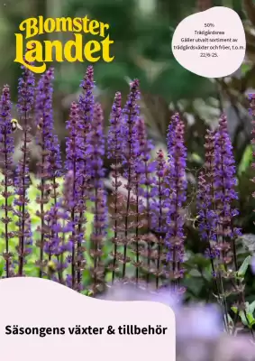 Blomsterlandet reklamblad