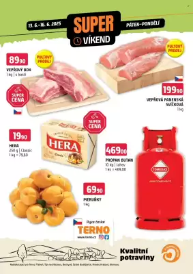 Terno leták (platné do 16-06)