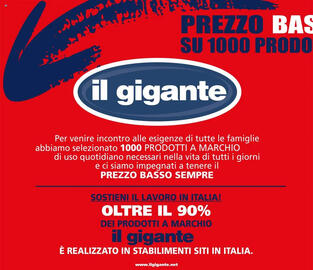 Volantino Il Gigante Pagina 2