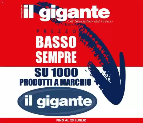 Volantino Il Gigante (valido fino al 23-07)