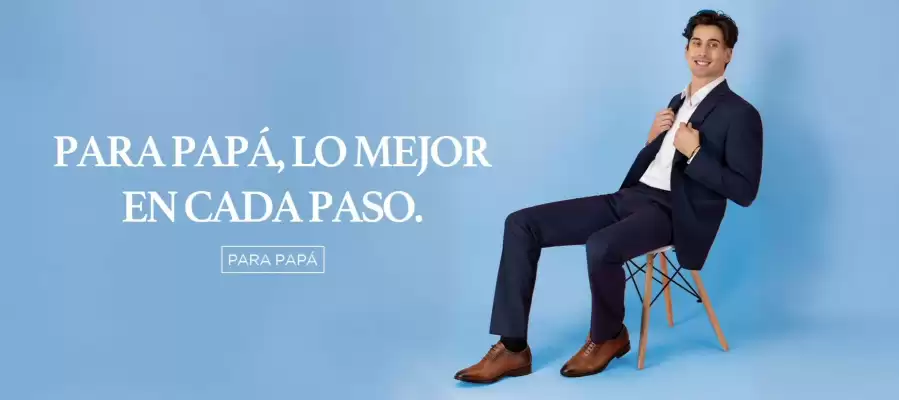 Catálogo Dorothy Gaynor (válido hasta 15-06)