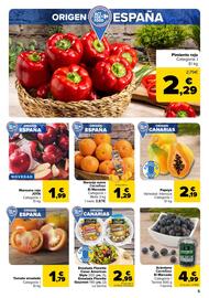 Folleto Carrefour Página 5