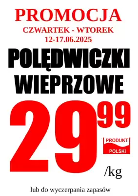 Wizan gazetka